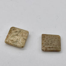 Load image into Gallery viewer, Premium 2 Fossilized Coral 15x15x6mm Diamond Beads 9007