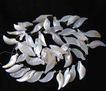 Load image into Gallery viewer, 6 Carved Mother of Pearl Shell Leaf Briolette Beads 10210 - PremiumBead Alternate Image 2