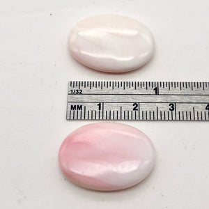 Conch Shell Oval Strand | 25x18x6mm | Pink White | 16 Bead(s)