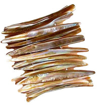 Load image into Gallery viewer, Sizzling Hot! Bronze Mussel Shell Plank Bracelet 006974