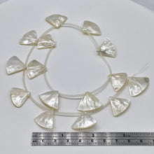 Load image into Gallery viewer, 5 Mother of Pearl 20x14x4mm to 27x22x4mm Briolette Beads 9601