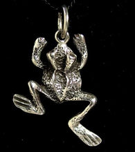 Load image into Gallery viewer, Ribbit 925 Sterling Silver Frog toad Traditional Charm Pendant 9966B - PremiumBead Primary Image 1