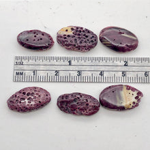 Load image into Gallery viewer, Purple Spine Oyster Shell Oval | 16x10x5 | Purple Orange | 2 Bead(s)
