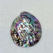 Load image into Gallery viewer, Designer! (1) Natural Abalone Shell 32x27x5 to 45x39x11mm Briolette Bead 009909 - PremiumBead Primary Image 1