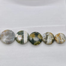 Load image into Gallery viewer, Ocean Jasper Graduated Round | 21x9 to 32x9 mm | Multi-color | 15 Beads