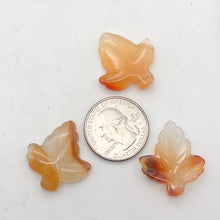 Load image into Gallery viewer, Chalcedony Mandarin Leaf Beads| 26x21x5mm to 27x23x5mm | Orange | Leaf | 3 bds | - PremiumBead Alternate Image 2