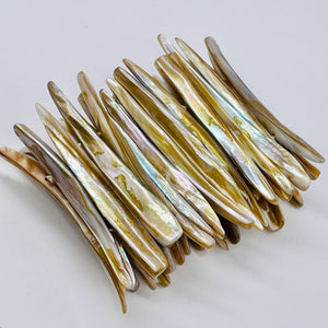 Bronze Mussel Shell Double Drill Plank Bracelet | 7 to 8 Inch" long | 30 Beads|