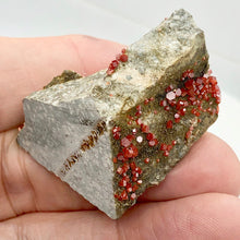 Load image into Gallery viewer, Vanadinite - Orange Red Sparkling Crystals Display Specimen |45x35x28mm | 36.2gr - PremiumBead Alternate Image 6