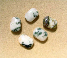Load image into Gallery viewer, 5 Tree Agate Rounded Rectangle Beads 7317 - PremiumBead Alternate Image 2