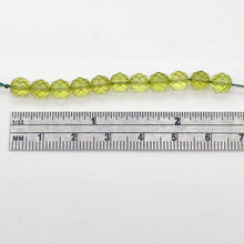 Load image into Gallery viewer, Amber Faceted Round Bead Strand | 6mm | Green | 68 Bead(s)