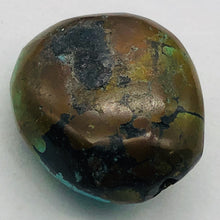 Load image into Gallery viewer, Genuine Natural Turquoise Nugget Focus Master 31cts| 21x18x10mm | Blue Black|1|