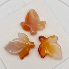 Load image into Gallery viewer, Chalcedony Mandarin Leaf Beads| 26x21x5mm to 27x23x5mm | Orange | Leaf | 3 bds | - PremiumBead Primary Image 1
