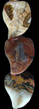 Load image into Gallery viewer, Pretty 3 Ocean Jasper Carved Autumn Leaf Beads 003364