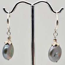 Load image into Gallery viewer, Platinum Freshwater Coin Pearl and Sterling Dangling Earrings | 1 1/4 Inch Drop |