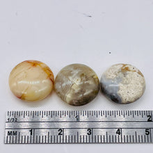 Load image into Gallery viewer, 3 Beads of intricate Designs Crazy Lace Agate Coin Beads 8969