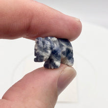 Load image into Gallery viewer, Wild 2 Hand Carved Sodalite Elephant Beads | 22.5x21x10mm | Blue white - PremiumBead Alternate Image 7