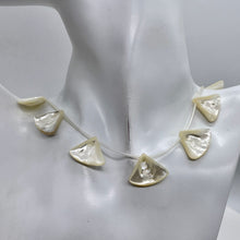 Load image into Gallery viewer, Mother of Pearl 20x14x4mm to 27x22x4mm Briolette Bead Strand 109601
