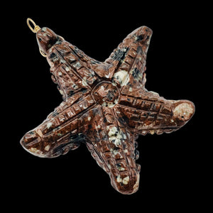 Starfish 14K Gold Filled Starfish Pendant | 2 1/2" Long | Brown White | 1 |