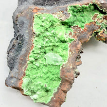 Load image into Gallery viewer, Conichalcite Natural Crystal Display Specimen for Collectors | 2.75x1.75x0.63" |