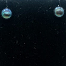 Load image into Gallery viewer, South Sea Pearl 14K Solid Gold Post Earrings | 6mm | Gray/Blue | 1 Pair |