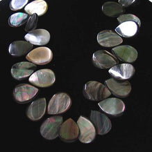Load image into Gallery viewer, 7 Tahitian Mother of Pearl Shell Flat Briolette Beads 9911 - PremiumBead Alternate Image 3