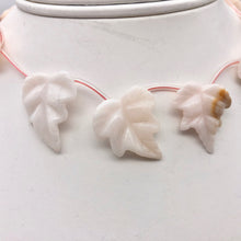 Load image into Gallery viewer, 7 Light Pink Peruvian Opal Leaf Briolette Beads for Jewelry Making 10823C - PremiumBead Primary Image 1