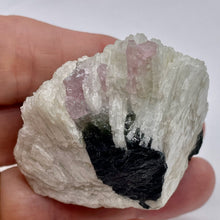 Load image into Gallery viewer, Watermelon Tourmaline Crystal |45x54x44mm|Purple Black White| 1 Display Specimen