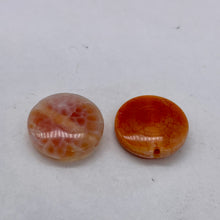 Load image into Gallery viewer, 2 Snakeskin/Crab Fire Agate Coin Focal Beads 8958