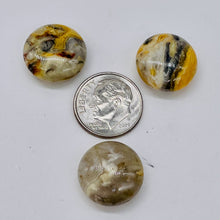Load image into Gallery viewer, 3 Beads of intricate Designs Crazy Lace Agate Coin Beads 8969