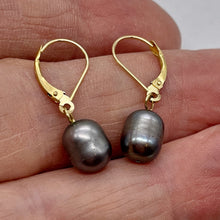 Load image into Gallery viewer, South Sea Pearl 14k Gold Lever Back Drop Earrings | 1" Long | Gray | 1 Pair |