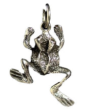 Load image into Gallery viewer, Ribbit 925 Sterling Silver Frog toad Traditional Charm Pendant 9966B