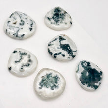 Load image into Gallery viewer, Solar Quartz Teardrop Stone | 33x33x8mm | White Green | 1 Bead(s)