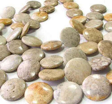 Load image into Gallery viewer, 1 Rare Fossilized Coral 30mm Coin Pendant Bead 9152 - PremiumBead Primary Image 1