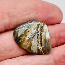 Load image into Gallery viewer, Abalone Hinge Shell | 1 Pendant Bead |