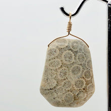 Load image into Gallery viewer, Fossilized Coral Sterling Silver Wire Wrap Pendant Pre-Cambrian Era | 2 5/8" |