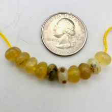Load image into Gallery viewer, African Dendritic Golden Opal Roundel Bead Strand - PremiumBead Alternate Image 4