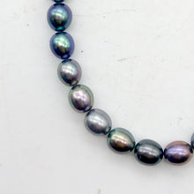 Load image into Gallery viewer, Perfect Peacock Oval FW Pearls | 6.5x5.5-6x5mm | Peacock | Oval | 20 pearls | - PremiumBead Alternate Image 7
