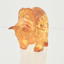 Load image into Gallery viewer, Amber Triceratops | 47x24x14 | Amber | 1 Figurine