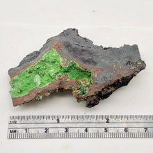Load image into Gallery viewer, Conichalcite Natural Crystal Display Specimen for Collectors | 2.75x1.75x0.63" |