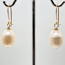 Load image into Gallery viewer, AAA Natural Pink 14x10mm Pearl 14k Gold Filled Earrings | 1 1/4 inch drop | - PremiumBead Alternate Image 5
