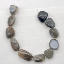 Load image into Gallery viewer, Grey Moonstone Bead Strand | 23x13x8mm to 18x11x9mm | Grey | 19 to 24 Strand