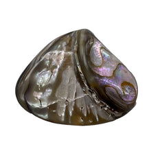 Load image into Gallery viewer, Abalone Hinge Shell | 1 Pendant Bead |