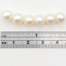 Load image into Gallery viewer, 6 Premium Perfect Skin Natural White 8mm Pearls 10059