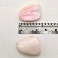 Load image into Gallery viewer, Conch Shell. Pear Shape | 27x19x8 to 28x22x10 | Pink White | 8 Bead(s)