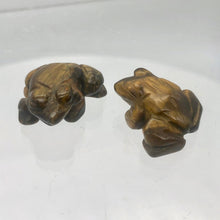 Load image into Gallery viewer, Prosperity 2 Hand Carved Tigereye Frog Beads | 22x17x10mm | Brown Gold - PremiumBead Primary Image 1
