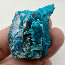 Load image into Gallery viewer, Chrysocolla Natural Crystal Display Specimen | 49x39x18mm |