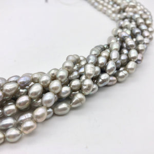 Silvery Platinum Freshwater Pearl Strand | 8x6-6.5x5mm | ~55 pearls | 110864 - PremiumBead Alternate Image 4