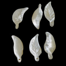 Load image into Gallery viewer, 6 Carved Mother of Pearl Shell Leaf Briolette Beads 10210