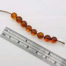 Load image into Gallery viewer, Amber Round Beads | 6 1/2 mm | Orange | 8 Beads |