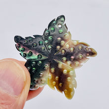 Load image into Gallery viewer, 1 Tahitian Mother of Pearl Carved Starfish Bead 9708